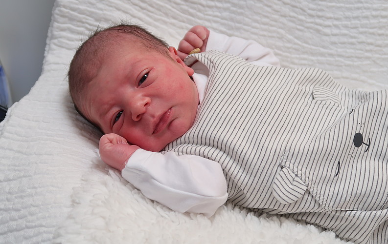 Mateo