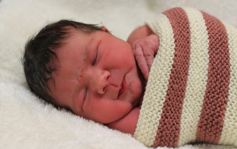 Alena